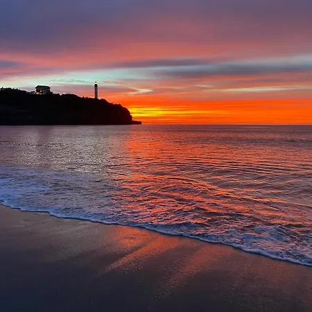 Apartman Cosy Apartment Near The Beach In Biarritz France